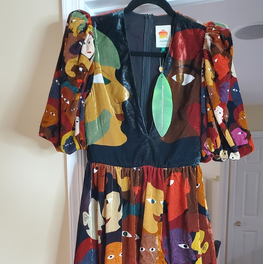 FARM RIO VELVET Colorful PRINT Dress